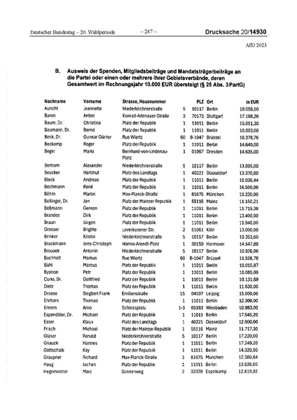 Datei:2023 AfD.pdf