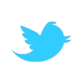 Twitter newbird blue.png